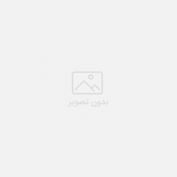 بادام هندی درشت